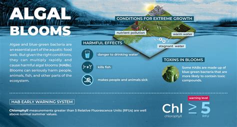 Harmful Algal Blooms