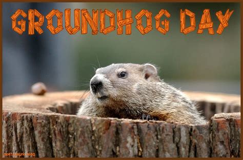 GROUNDHOG-DAY-QUOTES, relatable quotes, motivational funny groundhog ...