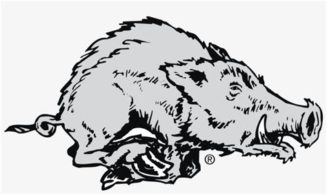 Arkansas Razorback Logo Png Transparent - Arkansas Razorback Svg PNG Image | Transparent PNG ...