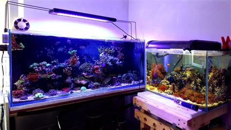 Standard Aquarium Dimensions, Sizes And Weights, 48% OFF