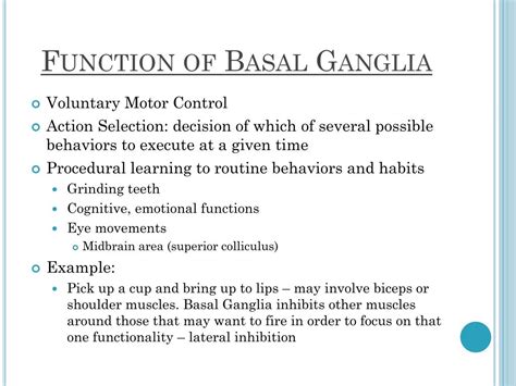 PPT - Basal Ganglia PowerPoint Presentation, free download - ID:1897641