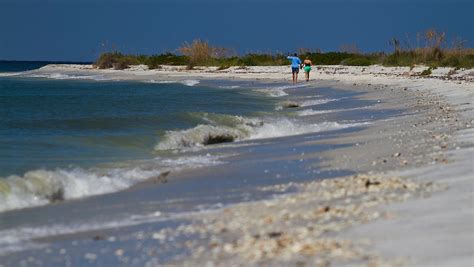 Cayo Costa Island: Beyond the beaches