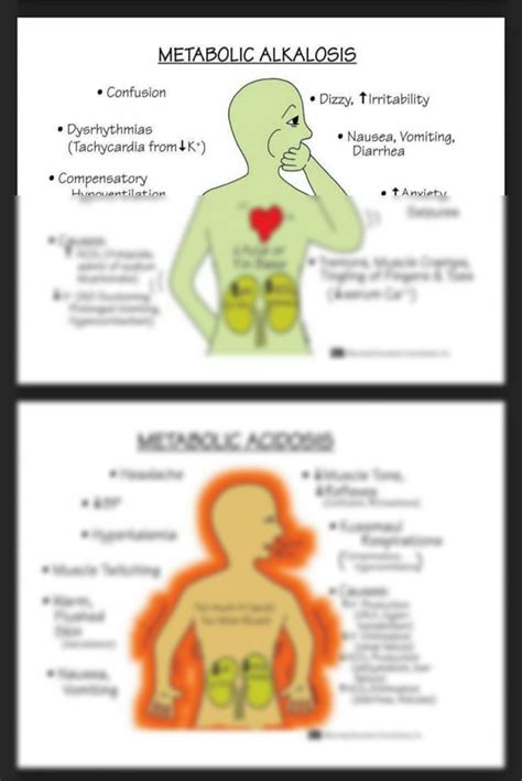 SOLUTION: Metabolic alkalosis and metabolic acidosis flashcard - Studypool