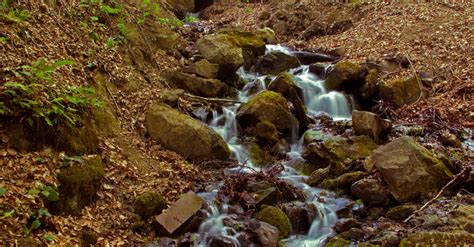 Free stock photo of bolu, turkey