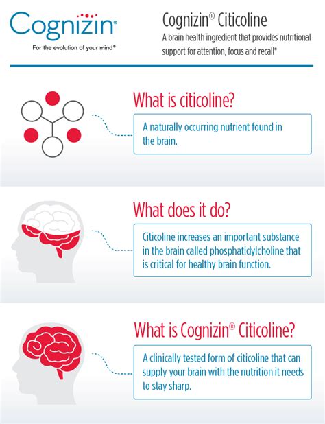 Buy Cognizin Citicoline — Nootropix Dubai, UAE