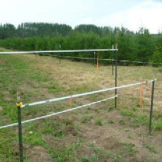 “Deer fencing” at a seed orchard. | Download Scientific Diagram