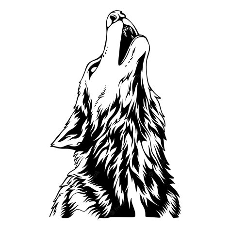 Wolf Art Black And White