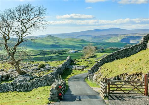 Why we must support Yorkshire’s countryside to aid economic recovery - Dorothy Fairburn ...