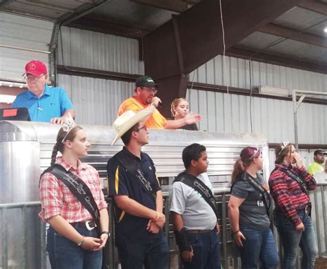 Washington County Fair Livestock Sale proves a bit of a cash cow | News ...