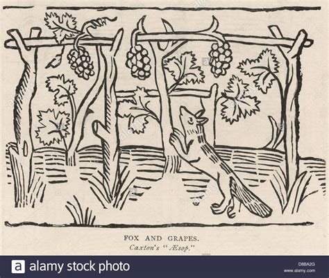 Aesop's fable fox grapes hi-res stock photography and images - Alamy