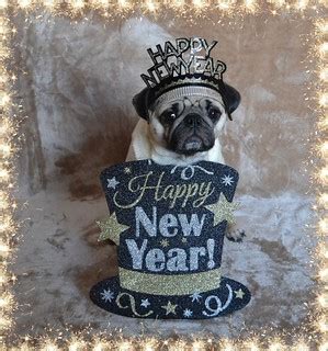 Happy New Year! | Boo Lefou would like to wish all our Flick… | Flickr