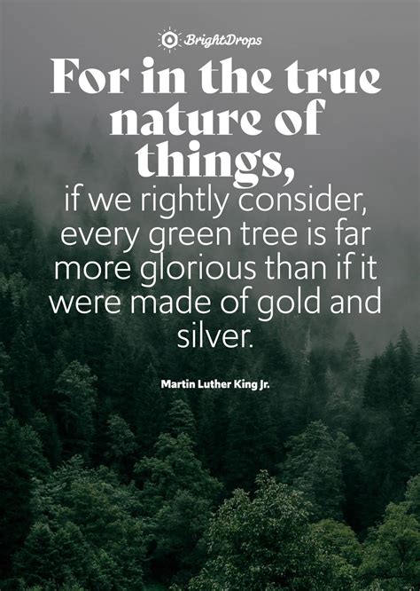 105 Inspirational Nature Quotes on Life and Its Natural Beauty