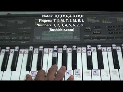 ‘D’ Major Scale – Right hand finger pattern for Single Octave – Rushis Biz – Music