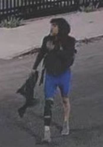 Authorities Release Images of Suspect in Downtown LA Freeway Arson ...