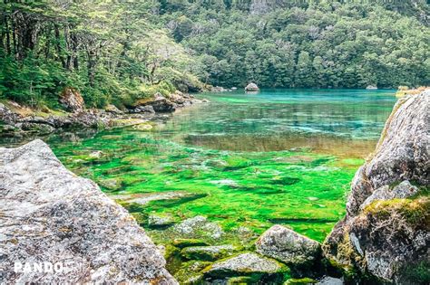 Blue Lake - the Clearest Lake in the World in Nelson, New Zealand - Places To See In Your Lifetime