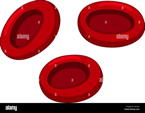 Red blood cell drawing hi-res stock photography and images - Alamy