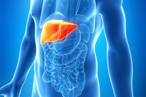 Liver Cancer: Symptoms and Treatment | Live Science