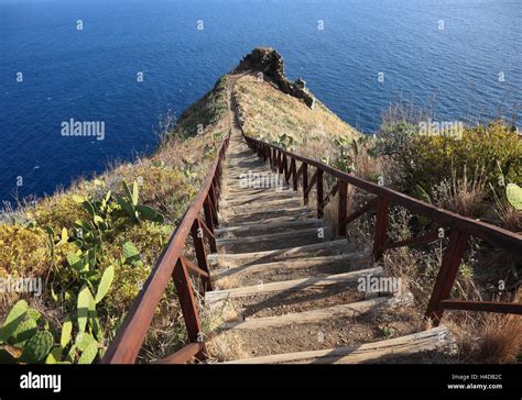 Portugal island madeira canico hi-res stock photography and images - Alamy