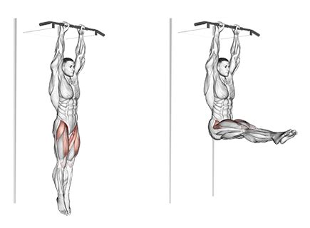 Exercise Database (Abs15) - Hanging Leg Raises — Jase Stuart - The Better Body Coach