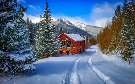 Download Tree Snow Cabin Earth Photography Winter HD Wallpaper