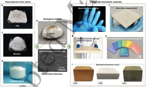 Sustainable biomimetic materials made from natural raw materials. a ...