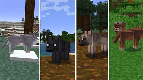 New Wolves are finally coming to Minecraft