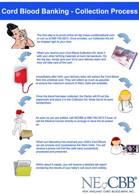 How Easy is the Cord Blood Collection Process? - New England Cord Blood ...