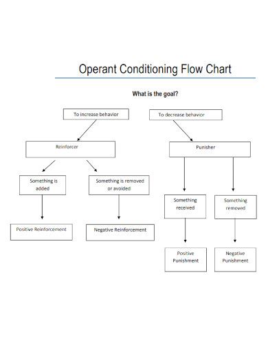 Operant Conditioning - Examples