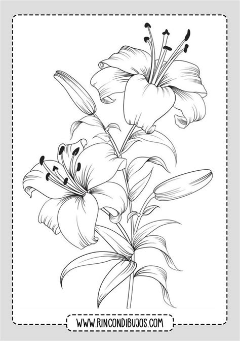 Dibujos de Flores Colorear y Dibujar - Rincon Dibujos | Dibujos de ...