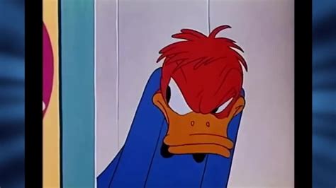 Angry video clip by Donald Duck