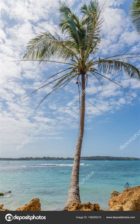 Starfish Beach panama. Stock Photo by ©chrispictures 198295210