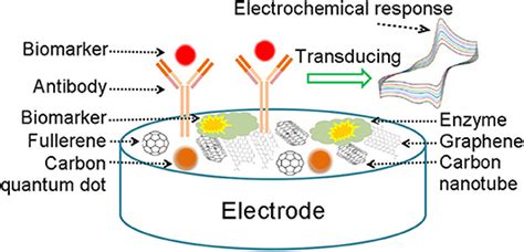 Frontiers | Electrochemical Sensors Based on Carbon Nanomaterial Used in Diagnosing Metabolic ...