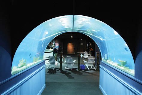 Aquamarine Projects - Greater Cleveland Aquarium