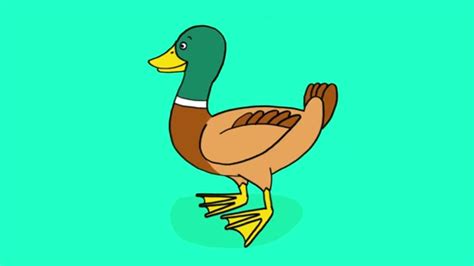 Apprendre à dessiner un canard - YouTube