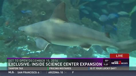 Exclusive: Greensboro Science Center Reveals Aquarium Expansion Details ...