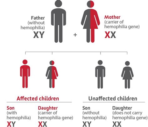 hemophilia diagram - Google Search | Hemophilia, Nursing tips, Med surg ...