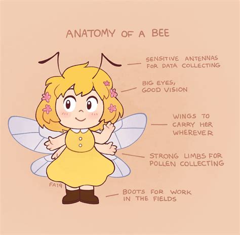 Anatomy of a bee by solkattunge on DeviantArt