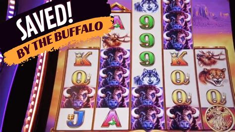 BUFFALO!! SAVED by the Buffalo on the Buffalo Stampede Slot Machine ...