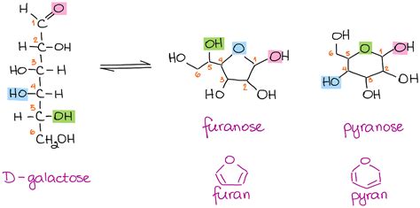 Nomenclature of Carbohydrates (the Fundamentals) — Organic Chemistry Tutor