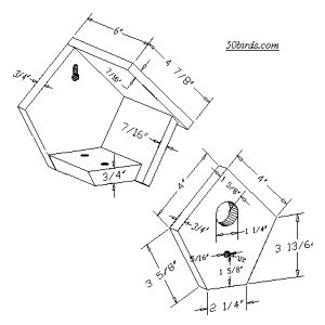 Wren Bird House Plans Free - House Design Ideas