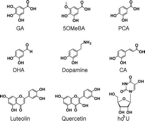 Chemical structures of catechol-like compounds tested as substrates for ...