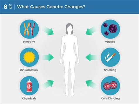 The Genetics of Cancer - NCI