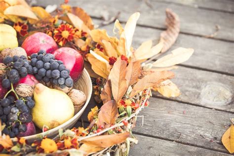 Autumn fruits in a basket stock photo. Image of berry - 129458232