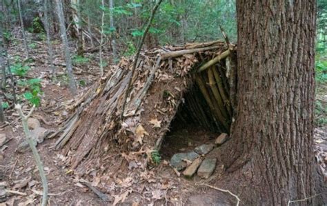 7 Simple Survival Shelters You Have To Know | Defiel