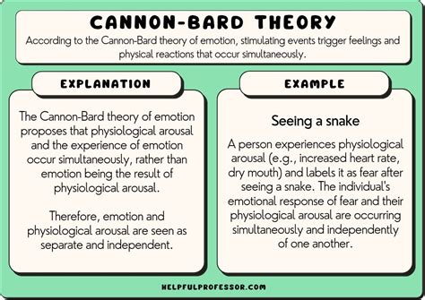 10 Cannon-Bard Theory Examples & Definition (2024)