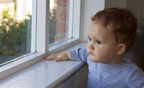 Boy Looking through a Window Stock Photo - Image of toddler, babies: 24774652