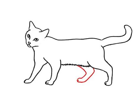 How to Draw a Cat Walking Part 3 – Easy Animals 2 Draw