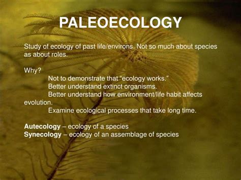 PPT - PALEOECOLOGY PowerPoint Presentation, free download - ID:1488892