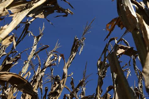 This Year's Drought Is Bad, but '36 Was Misery | The Weather Channel