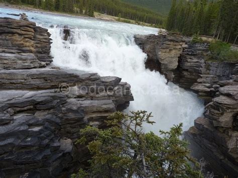 Athabasca Falls, Jasper National Park | To Do Canada